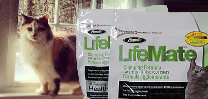 Pestell Pet Products