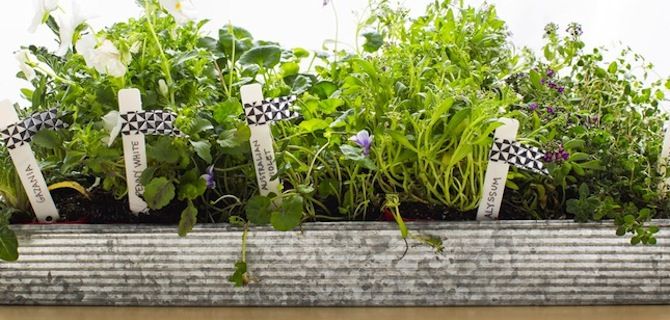 Portable Perennial Garden