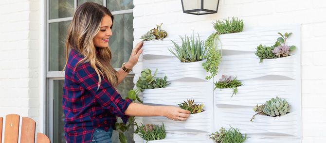 Vertical Garden