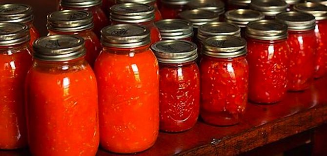 Prepping Food For Fall
