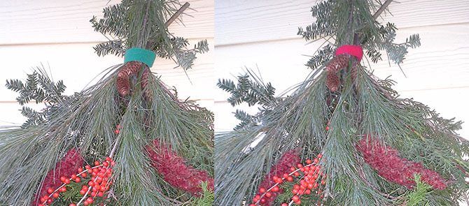 Holiday Bough