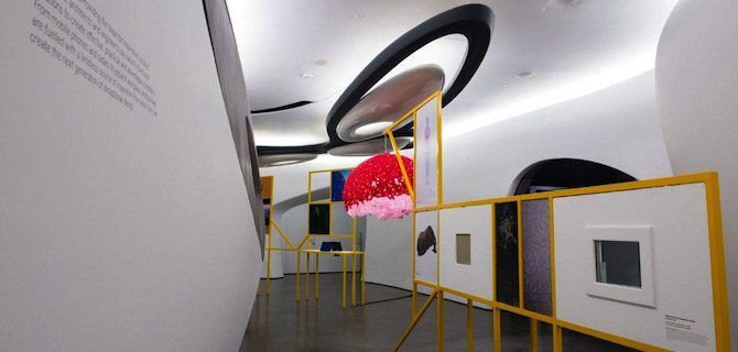 Biomimicry on Display