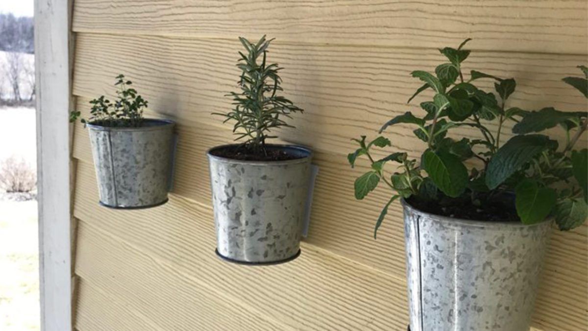 DIY Vertical Herb Garden