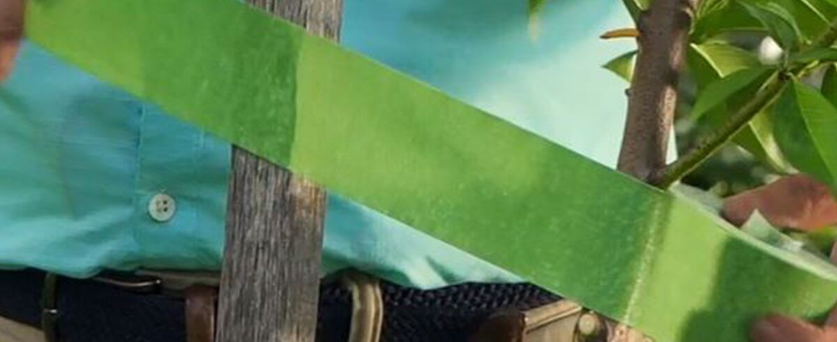 Featured Image