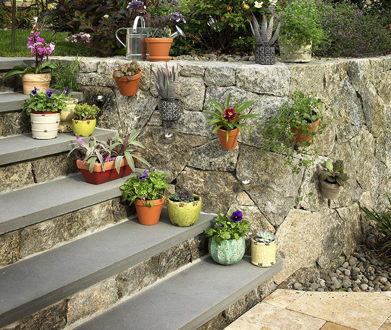 Gardening Ideas for Beginners