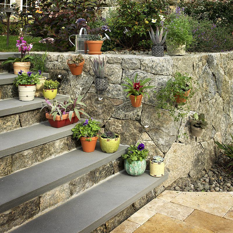 Gardening Ideas for Beginners