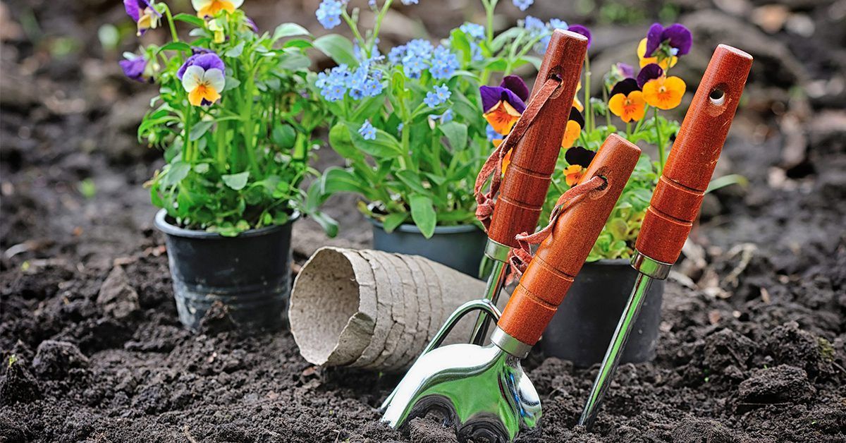 Gardening Tips for Beginners