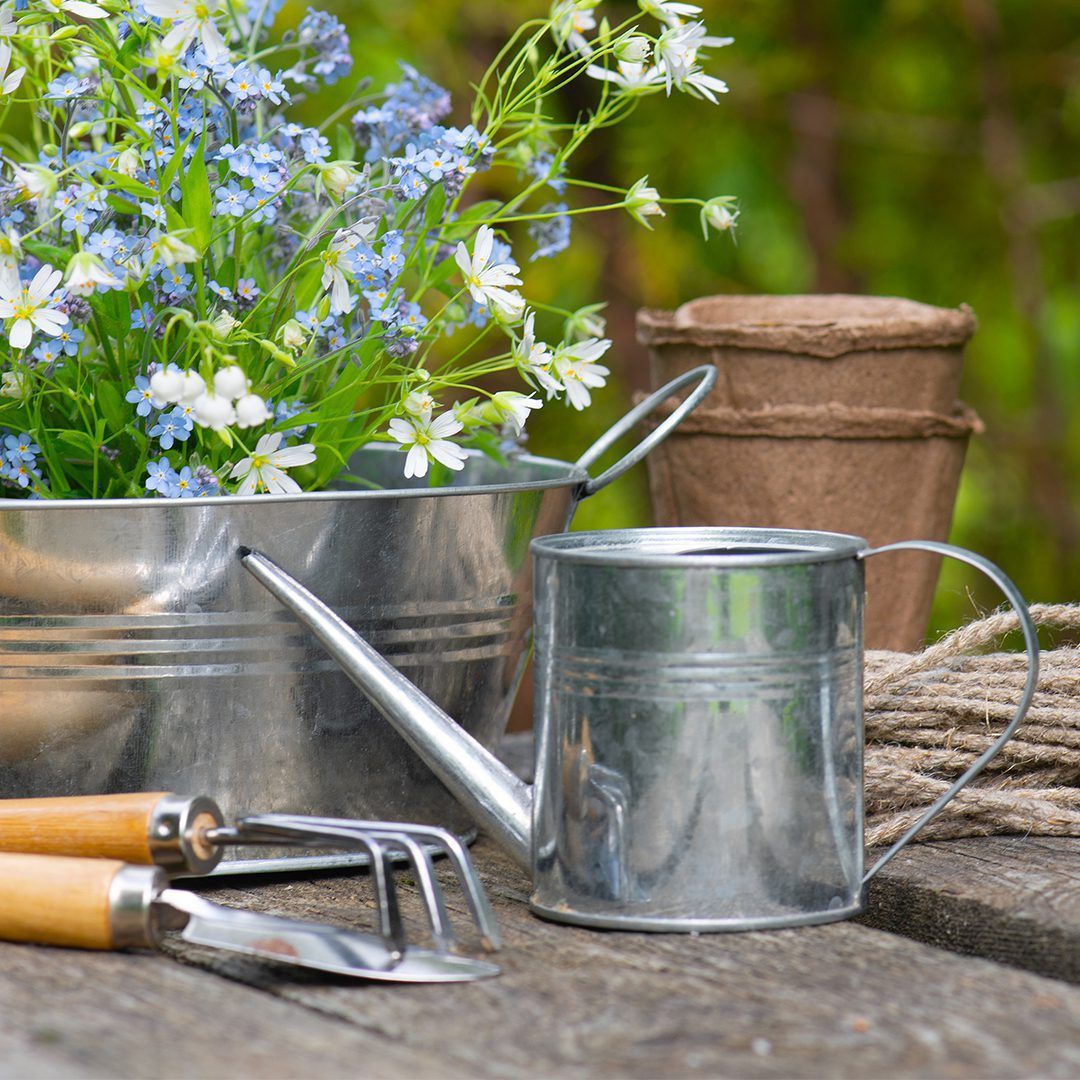 How to Use Less Plastic in Your Garden