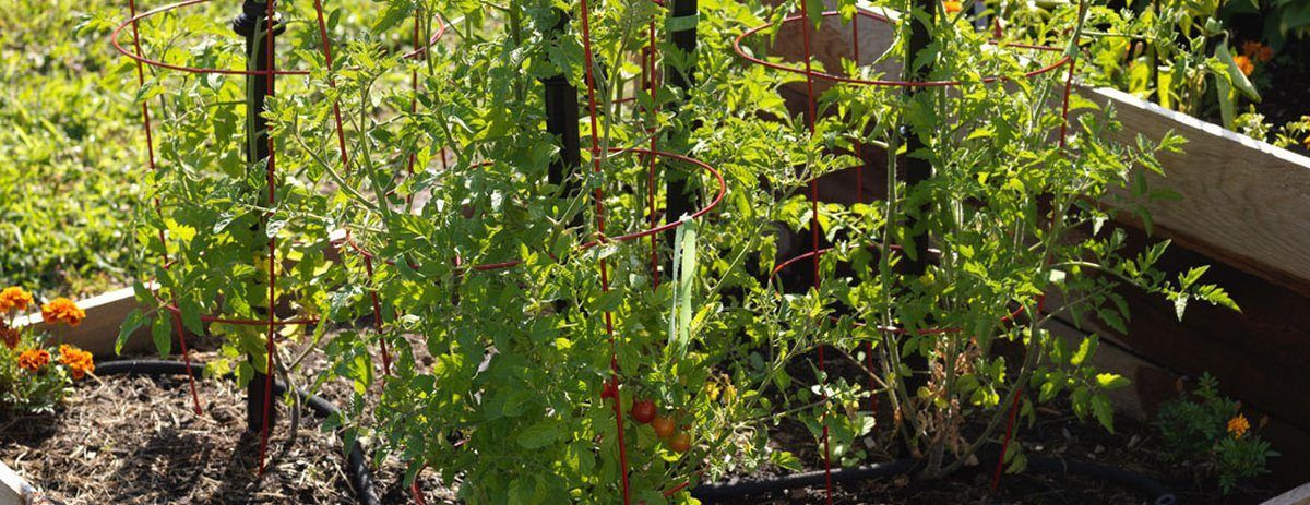 May_Gardening_Jobs