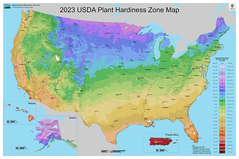 USDA Plant Hardiness Zone Map