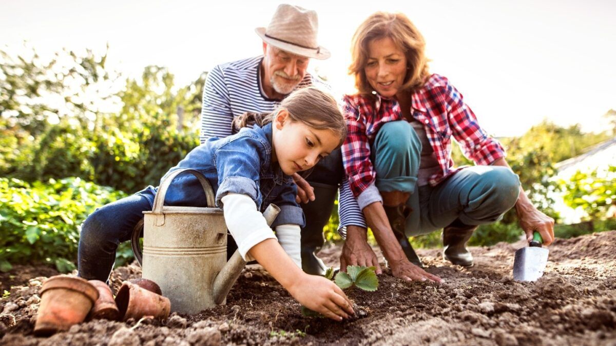 What to plant in October header image