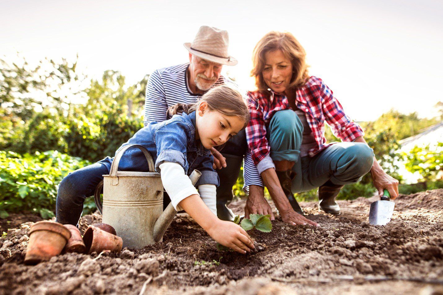 What to plant in October header image