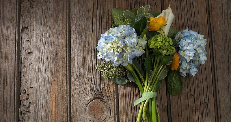 july gardening jobs