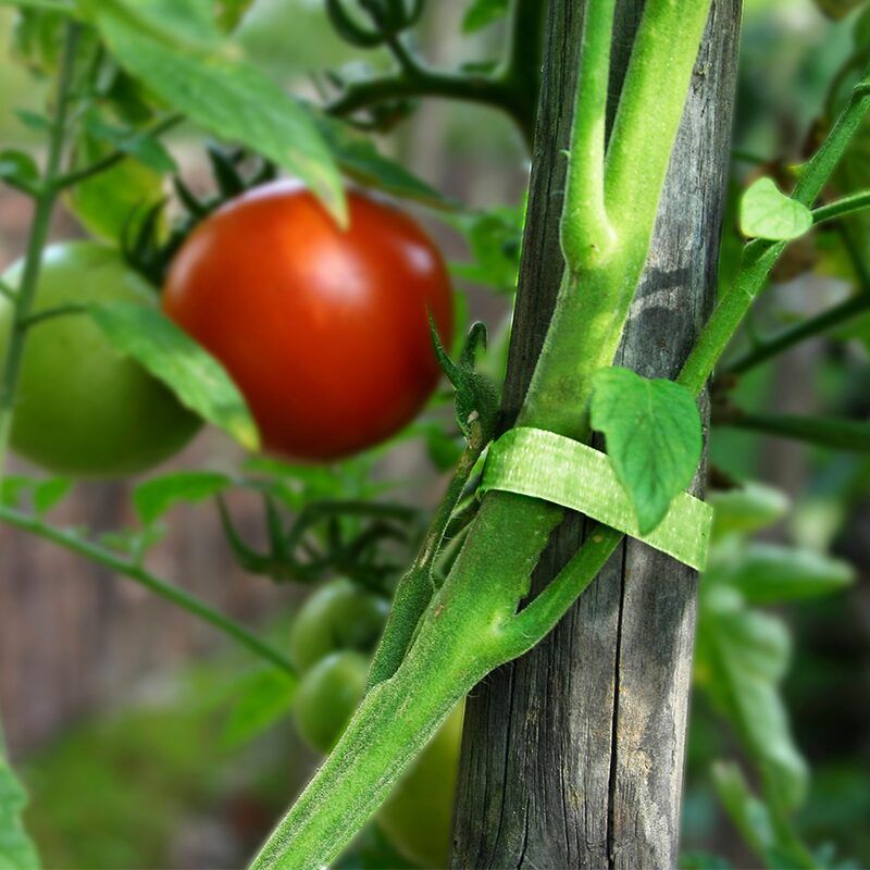 VELCRO® BRAND PLANT AND GARDEN TIES