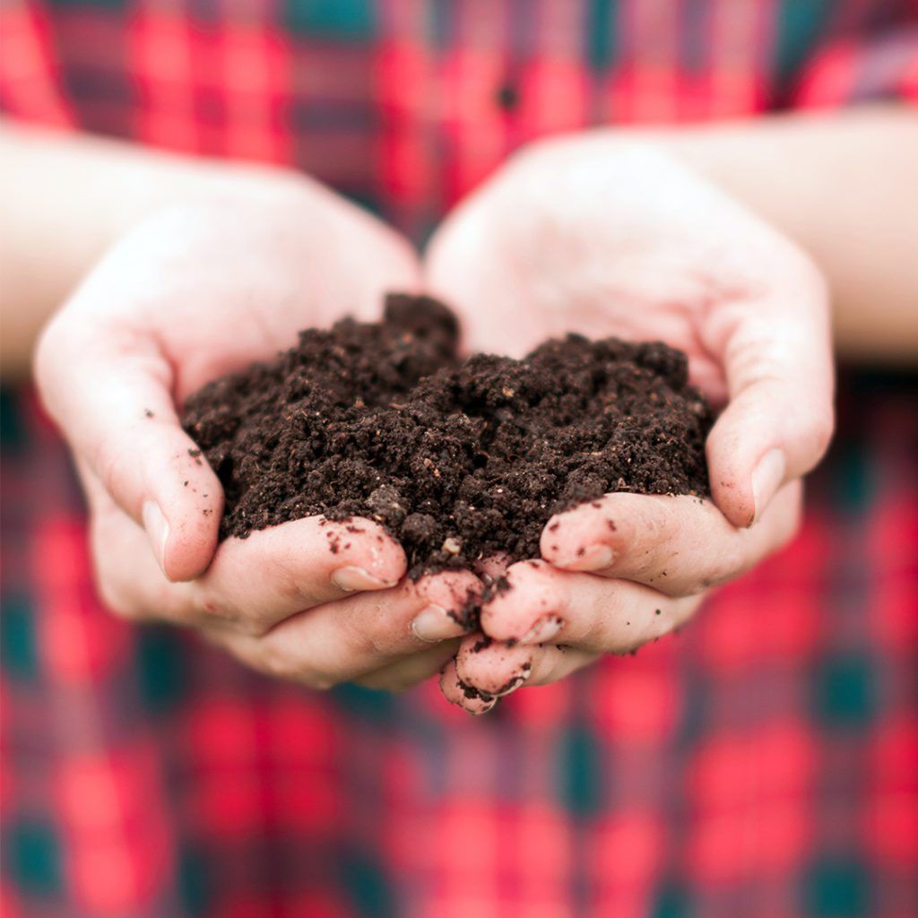 Plastic Free Gardening - Homemade Compost