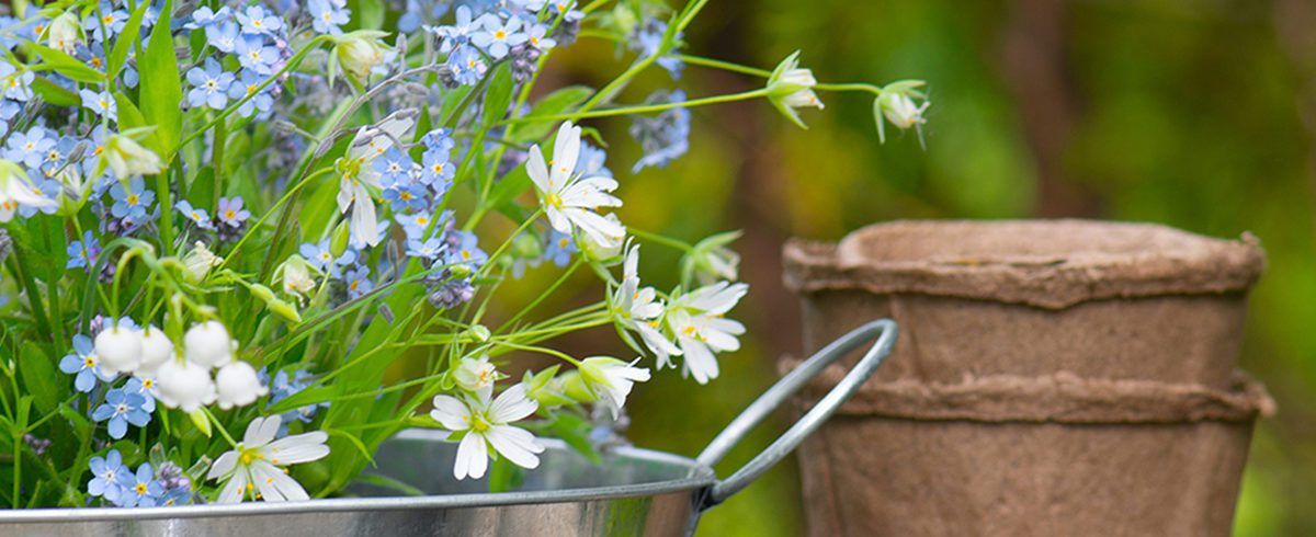 Plastic Free Gardening Tips