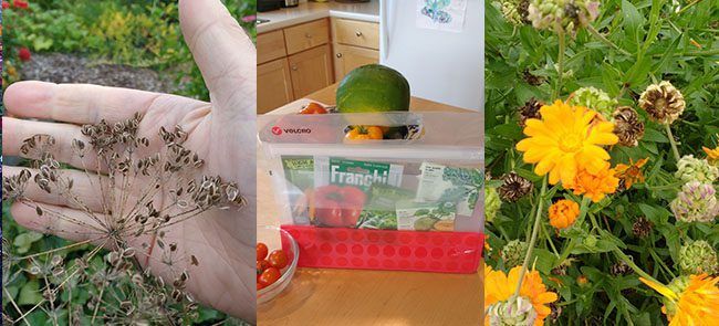 Seed Storage with the VELCRO Brand