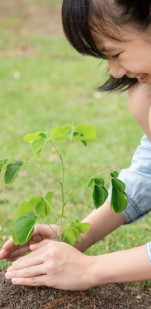sustainability