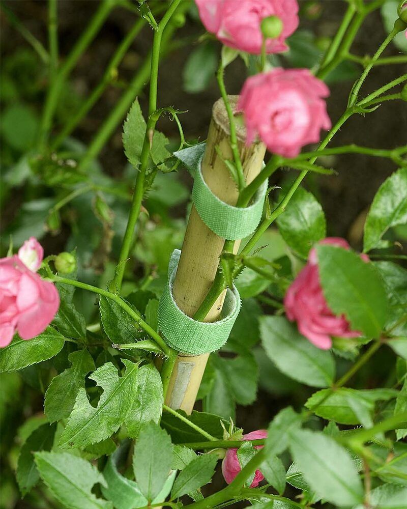 VELCRO® Brand Plant Ties