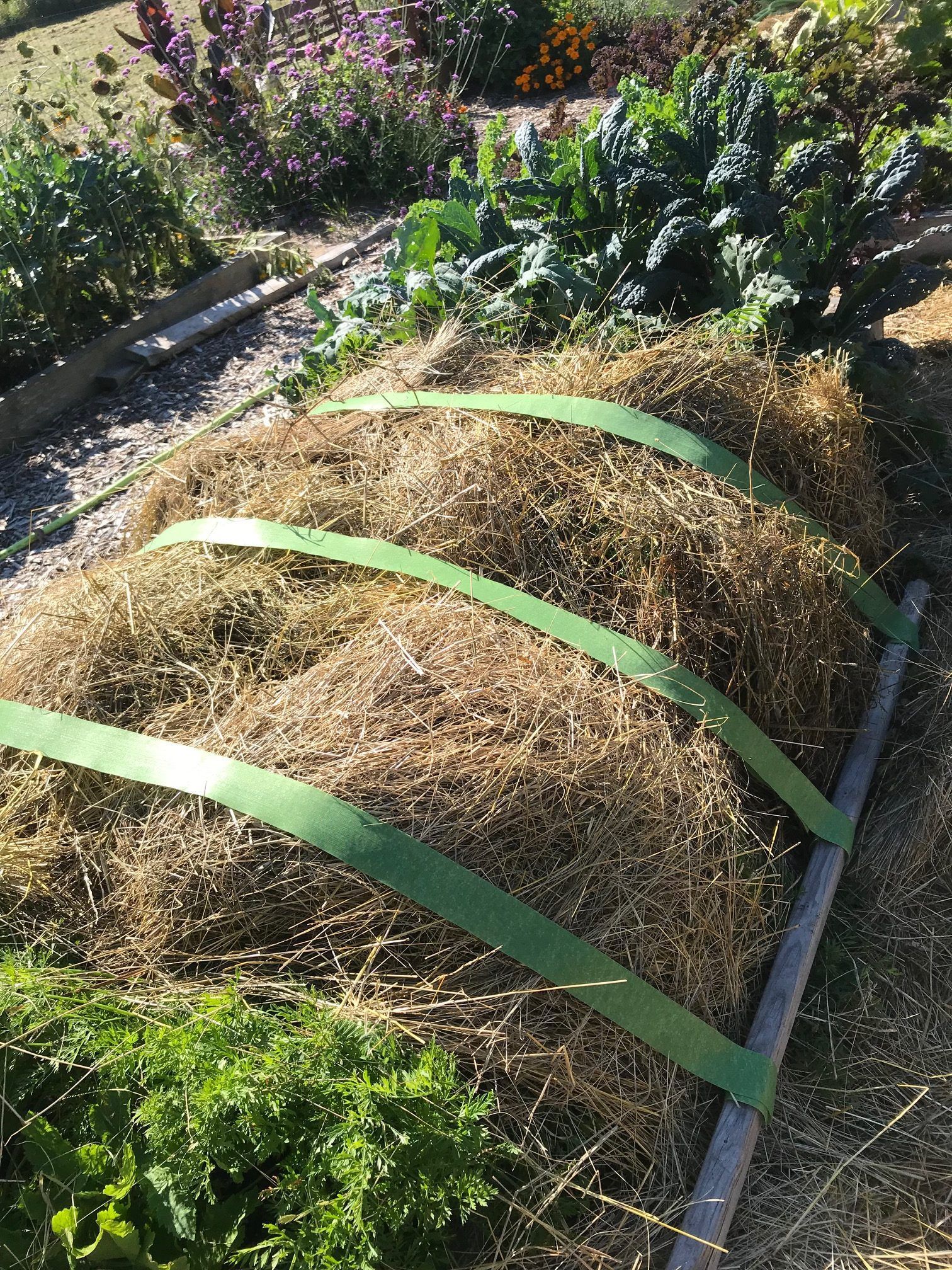 Ties Over Straw