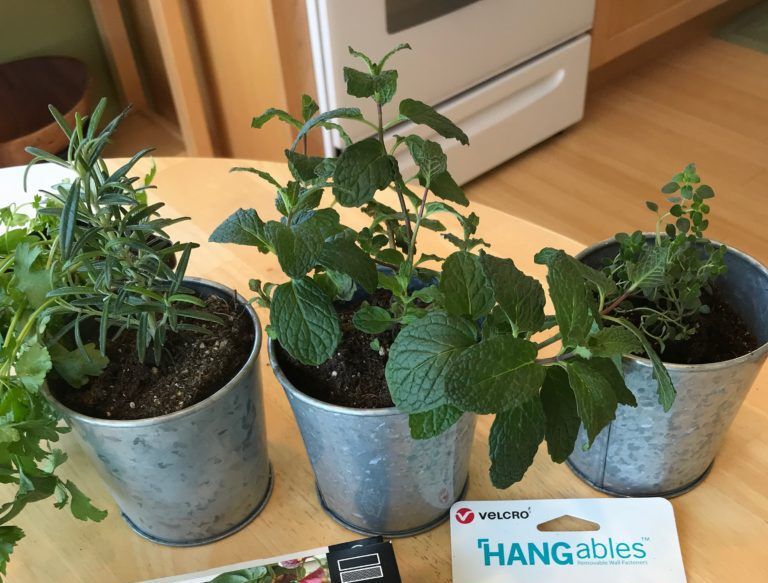 What You Need to Make a Vertical Herb Garden