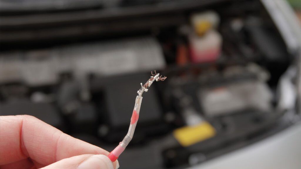 Prevent Damage to automotive electrical systems