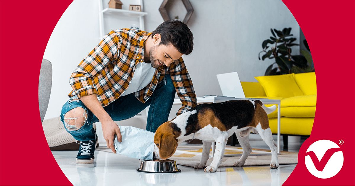 Pet-food-flexbile-packaging